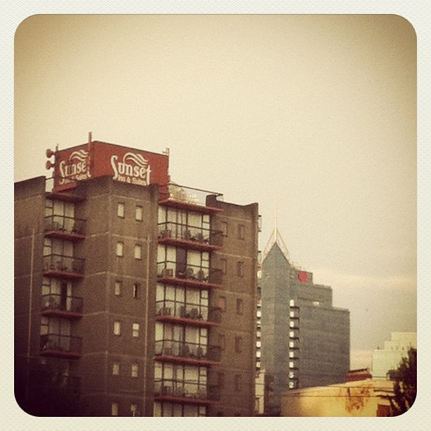 Instagram August 2013 3