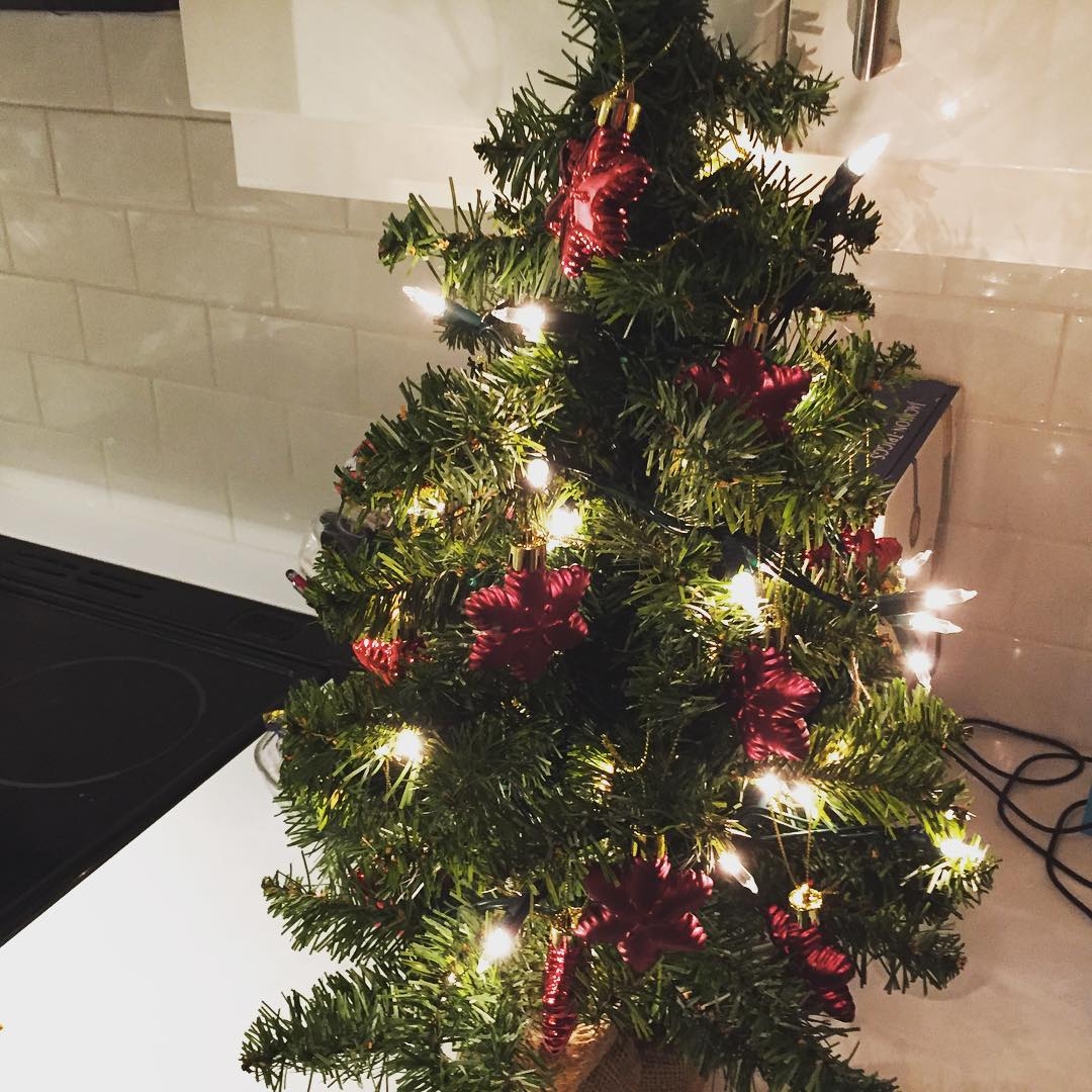 Instagram December 2015 4