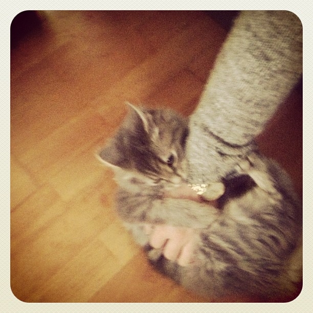 Instagram January 2013 4