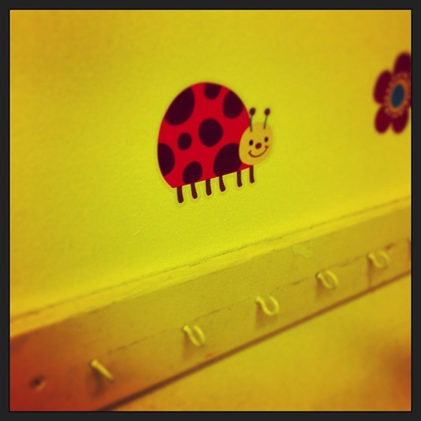 Instagram February 2013 4