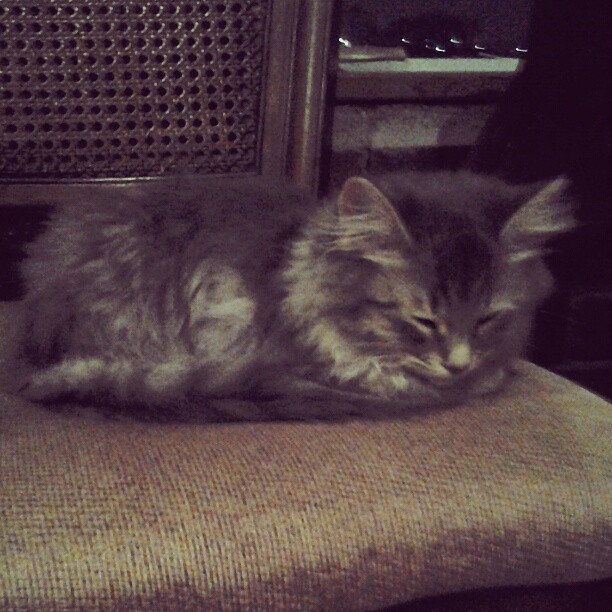 Instagram January 2013 5