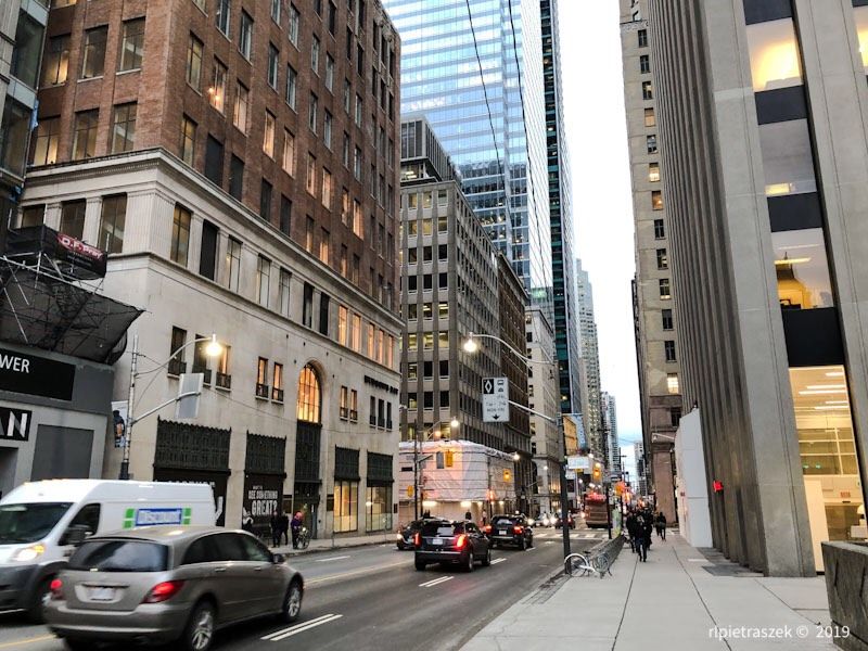 bay street belated #dogwoodweek5