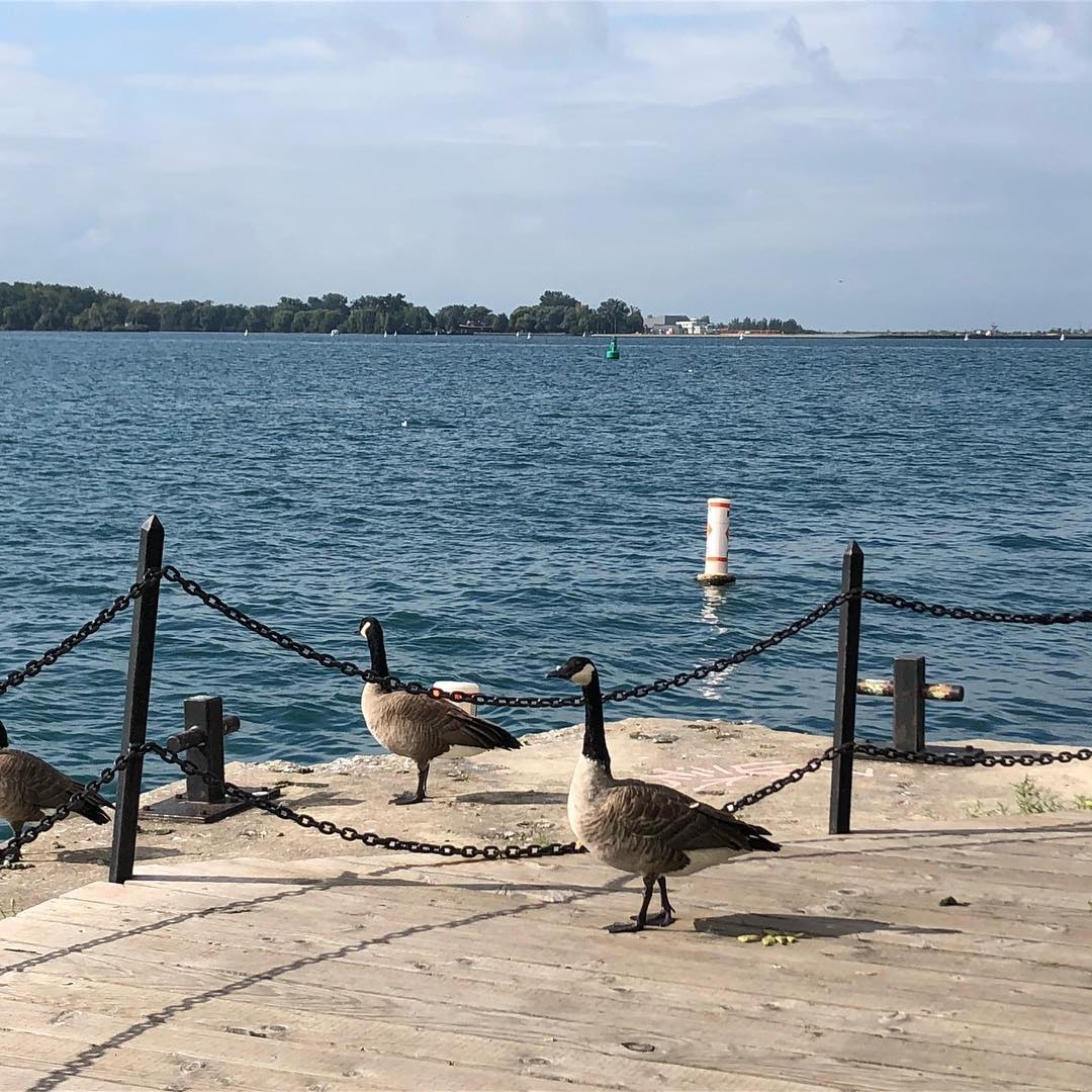 walking on the docks