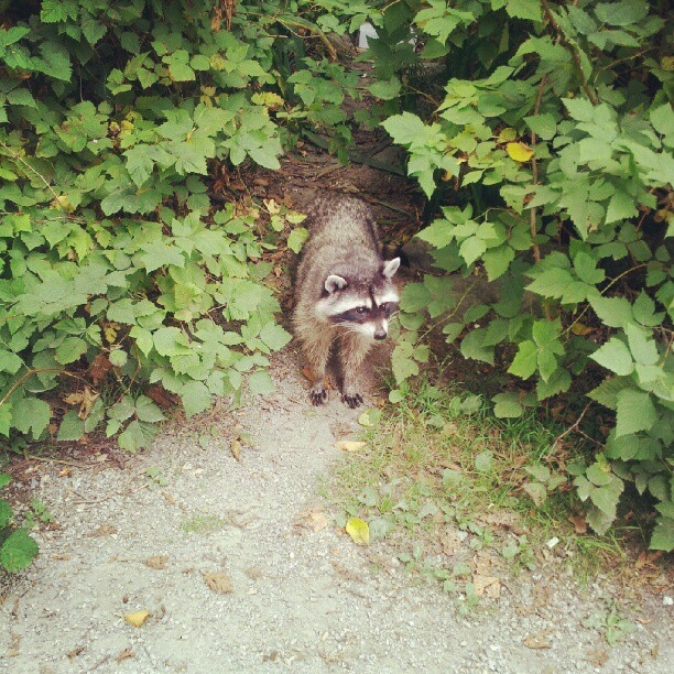 Instagram August 2012 9