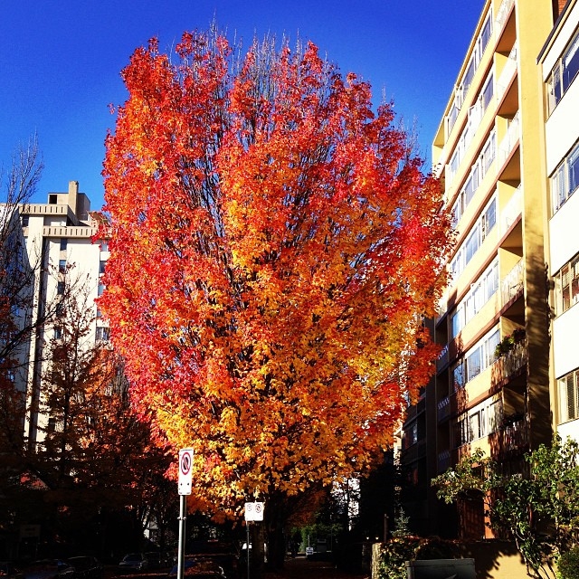 Instagram October 2013 10