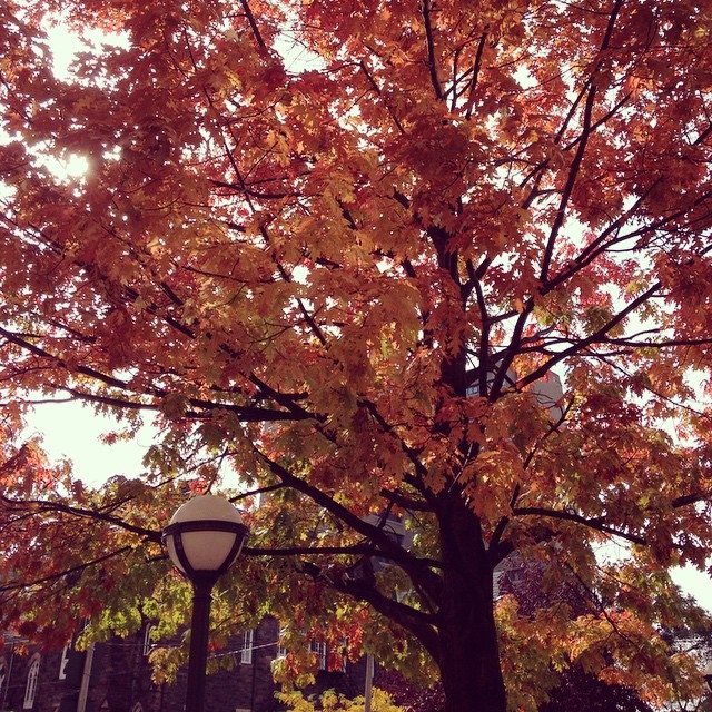 Instagram October 2014 9