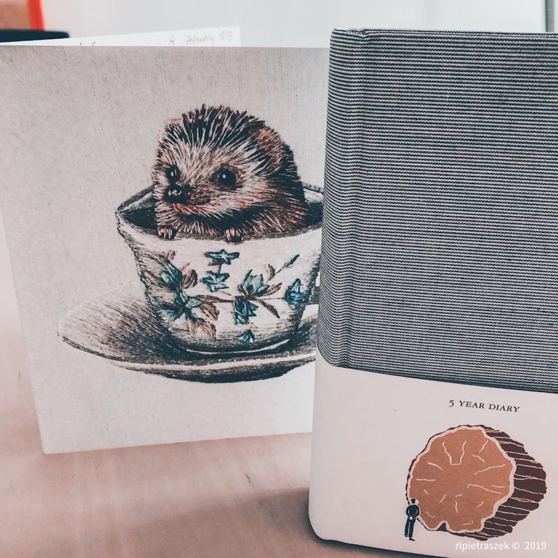 birthday presents from my best friend