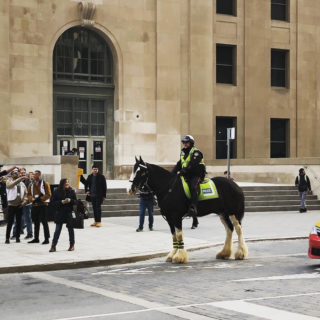 Police officer on a horse