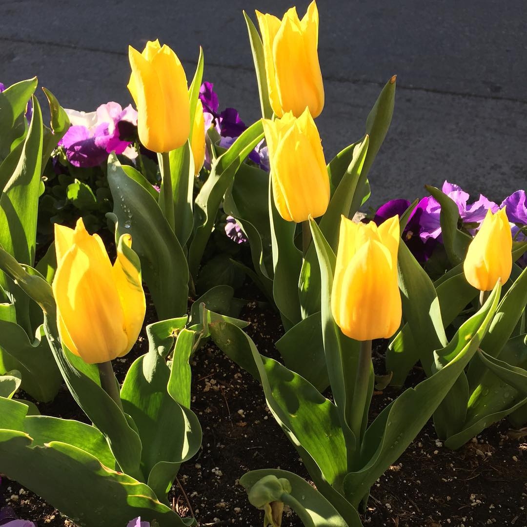 Instagram May 2016 1